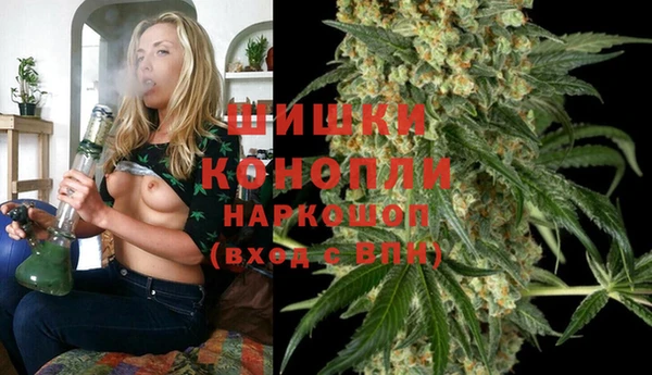 трава Алзамай